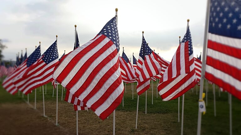 Usa vlajka amerika