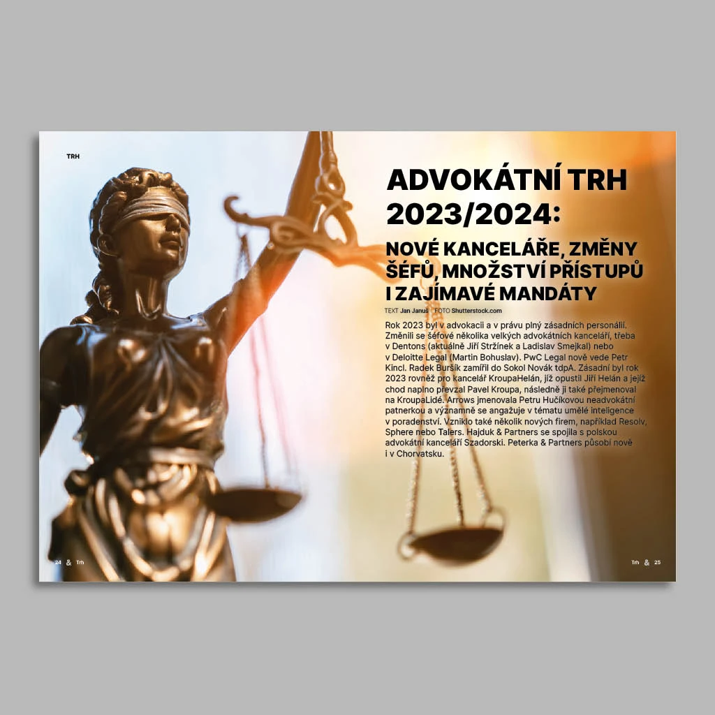 Lawyers_and_Business_promo (3)