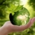 Zelené investování ve skutečnosti škodí životnímu prostředí
